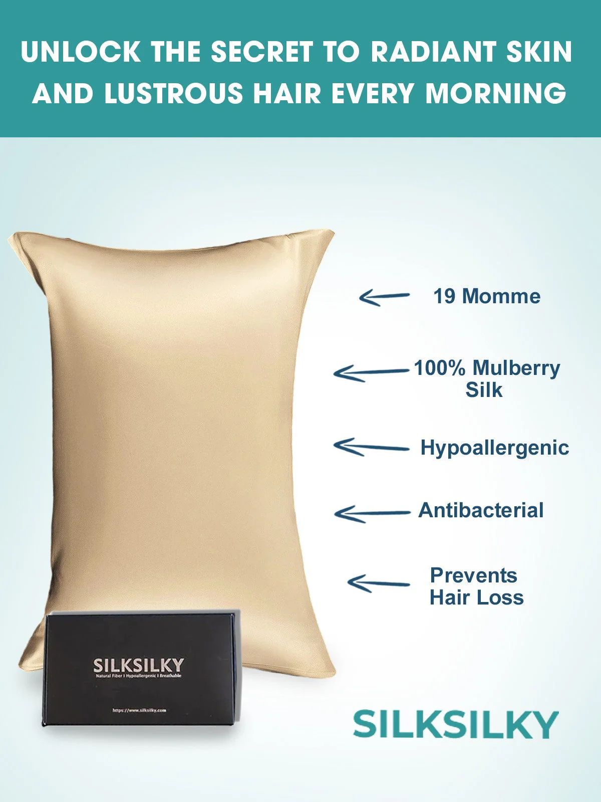 2Pcs 19Momme Pure Silk Pillowcases Bundle - Envelope - Image 44